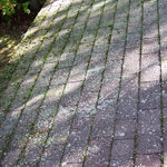 Cedar Shingles It is important for your roof to be free of debris so it can dry out. Over time the built up debris and moss will cause your roof to rot and dramatically shorten the life of your roof. Natural wood roofs are some of the most beautiful roofs you can have. Do you have moss or lichen growing on your roof and hiding the beauty of the cedar shingles or shakes? Maintenance Vs. Replacemen Unfortunately, many people don’t think of taking care of the roof because they don’t see it up close and when they start seeing growth of moss lichen and algae. They panic and don’t want to think of replacement because of the cost. Cedar roofs are constantly moving. They swell when it rains and shrink when it dries. They expand during the day and contract at night Day in and day out your roof takes a lot of natural abuse