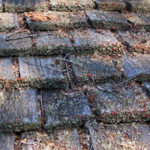 Cedar Shingles It is important for your roof to be free of debris so it can dry out. Over time the built up debris and moss will cause your roof to rot and dramatically shorten the life of your roof. Natural wood roofs are some of the most beautiful roofs you can have. Do you have moss or lichen growing on your roof and hiding the beauty of the cedar shingles or shakes? Maintenance Vs. Replacemen Unfortunately, many people don’t think of taking care of the roof because they don’t see it up close and when they start seeing growth of moss lichen and algae. They panic and don’t want to think of replacement because of the cost. Cedar roofs are constantly moving. They swell when it rains and shrink when it dries. They expand during the day and contract at night Day in and day out your roof takes a lot of natural abuse